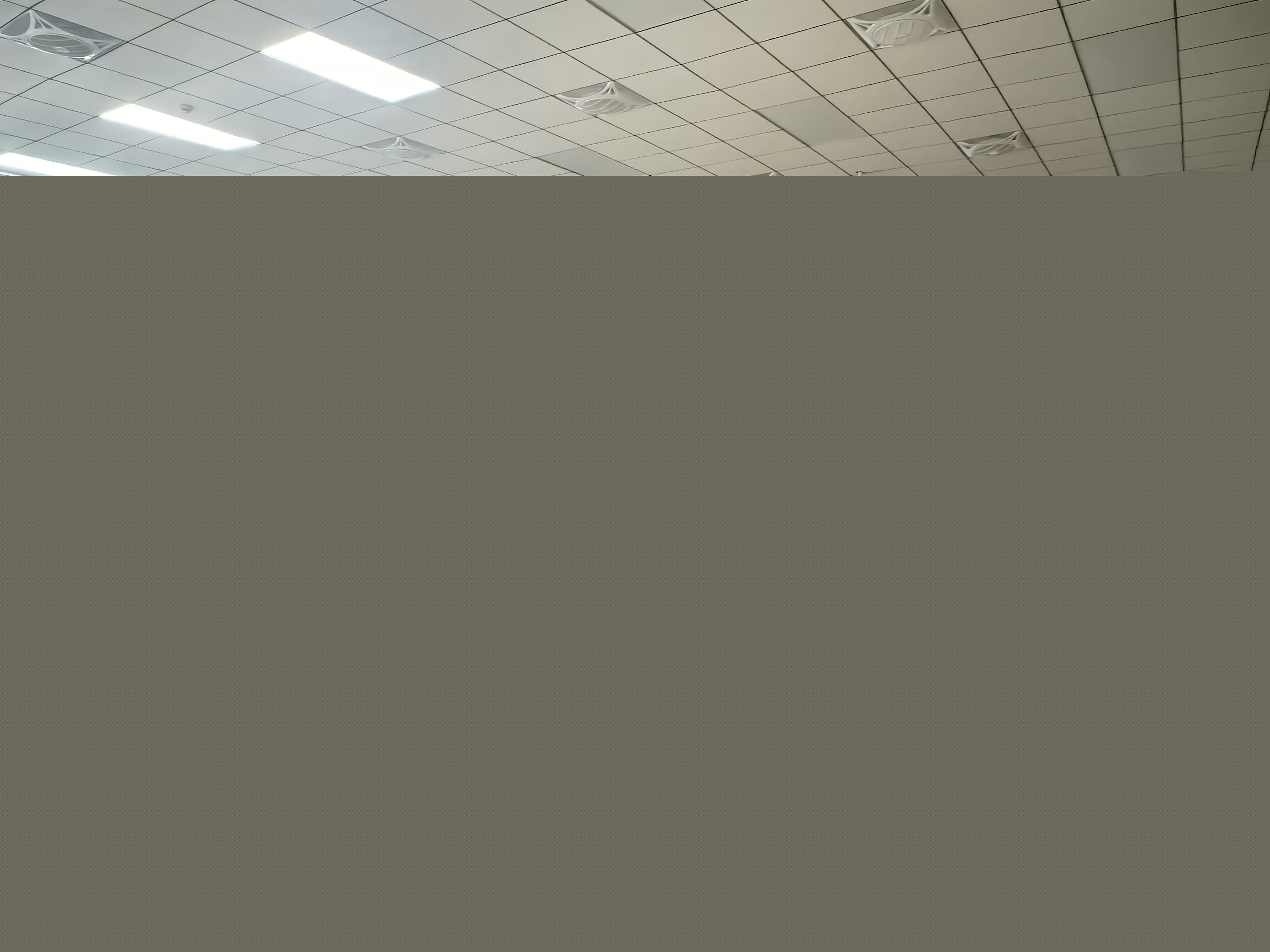 2F6D63